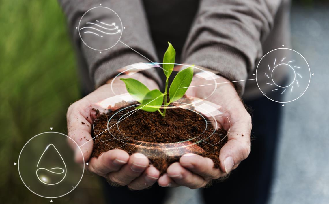 Plant Protection Solutions